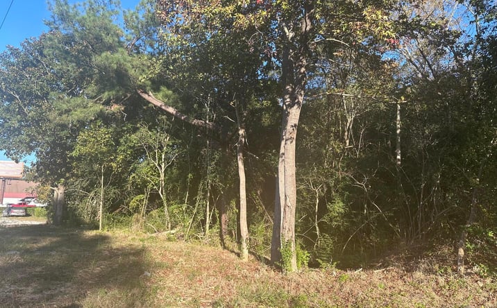 Pictures of Land property located at 220 N Highway 52, Moncks Corner, SC 29461 for sales - image #1