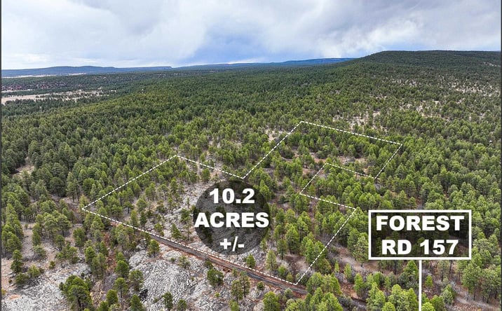 Pictures of Land property located at LOT 25A Forest 157 Road, Mcgaffey, NM 87316 for sales - image #1