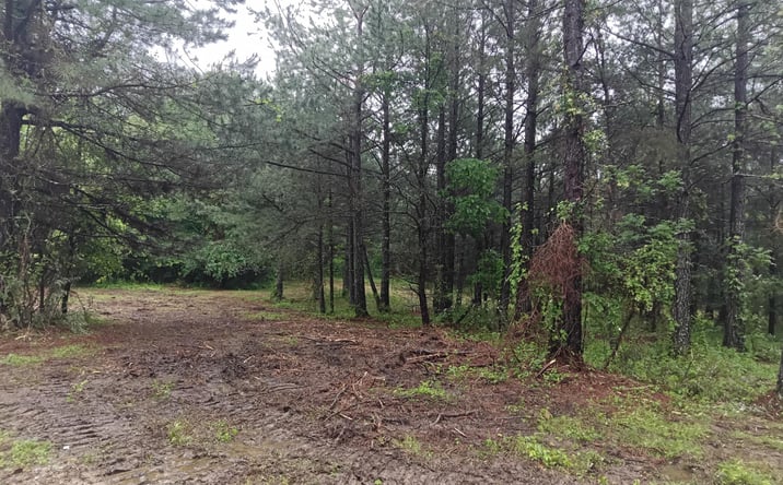 Pictures of Land property located at 0 James Hale Road, Jackson, OH 45640 for sales - image #1