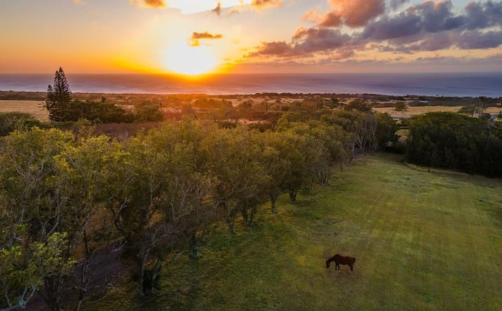 Pictures of Hospitality, Special Purpose property located at 56-2864 Akoni Pule Hwy, Hawi, HI 96719 for sales - image #1
