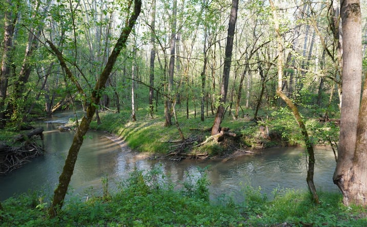 Pictures of Land property located at Golf Course Rd, Newport, TN 37821 for sales - image #1