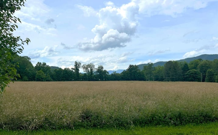 Pictures of Land property located at Par 130.01 S Hwy 32, Cosby, TN 37722 for sales - image #1