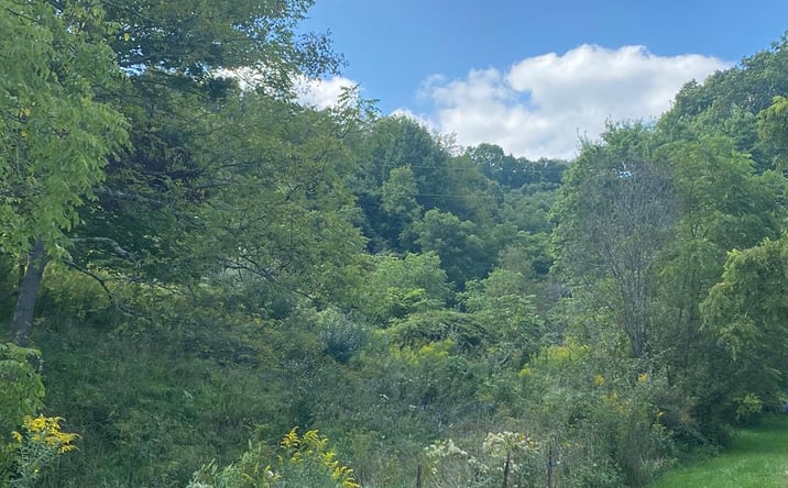 Pictures of Land, Multifamily property located at TBD Whitehall Road, Bluefield, VA 24605 for sales - image #1