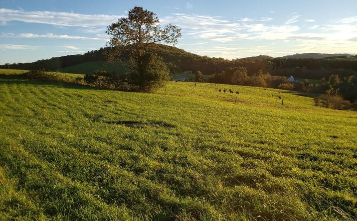 Pictures of Land, Multifamily property located at TBD Crestview Mountain Dr Lot 44, Ennice, NC 28623 for sales - image #1