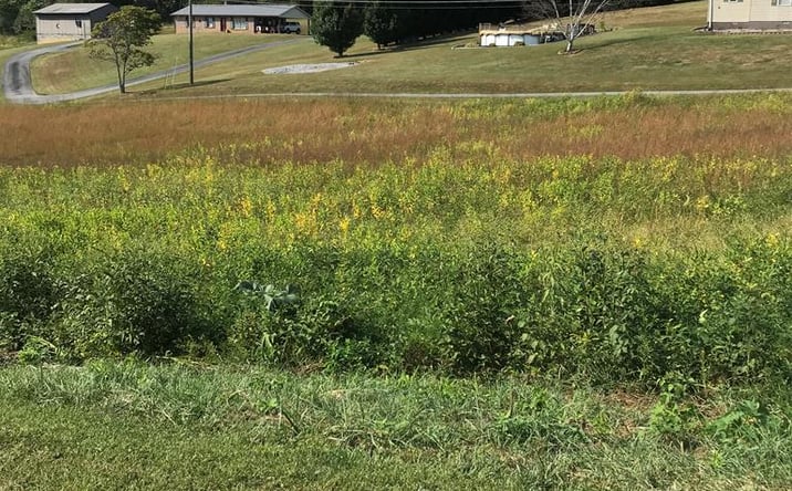 Pictures of Land, Multifamily property located at TBD Lot #31 Chestnutwood Drive, Chilhowie, VA 24319 for sales - image #1