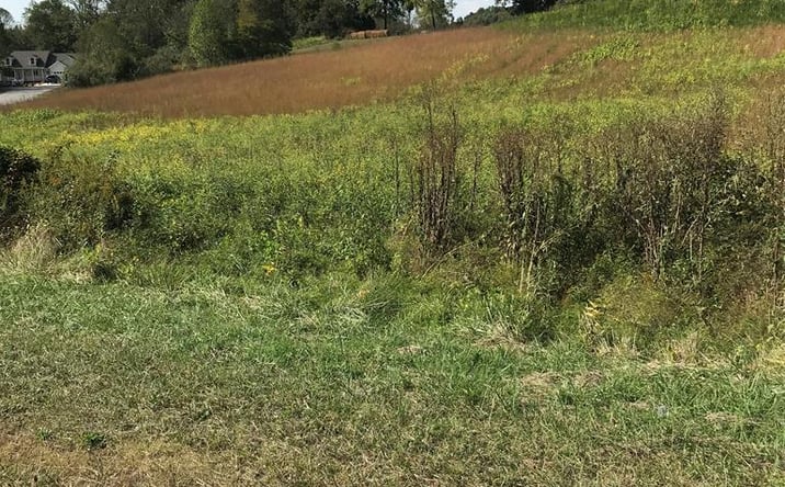 Pictures of Land, Multifamily property located at TBD Lot #27 Chestnutwood Drive, Chilhowie, VA 24319 for sales - image #1