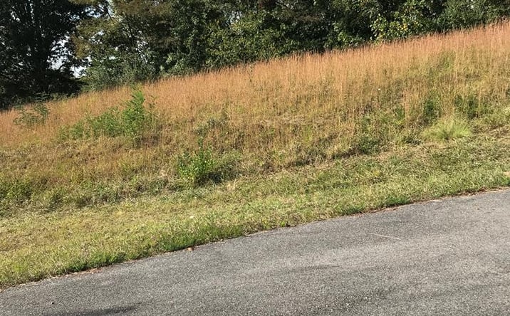 Pictures of Land, Multifamily property located at TBD Lot #21 Christin Lane, Chilhowie, VA 24319 for sales - image #1