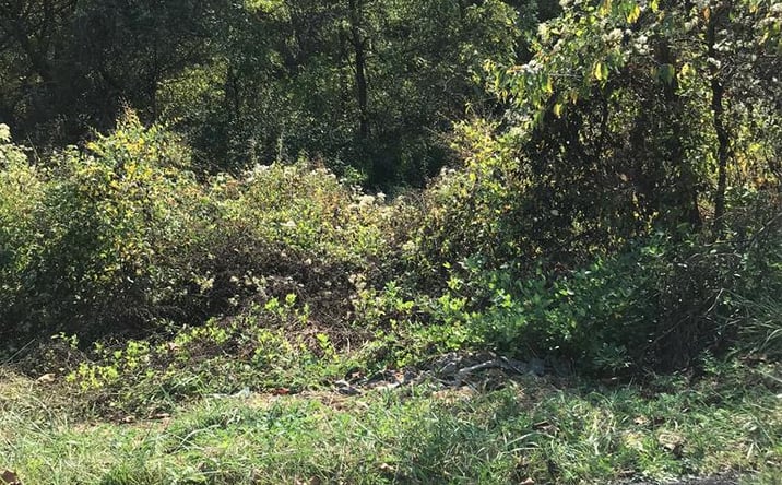 Pictures of Land, Multifamily property located at TBD Lot#17 Bryant Drive, Chilhowie, VA 24319 for sales - image #1