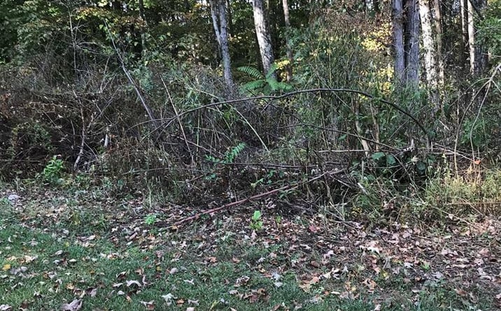 Pictures of Land, Multifamily property located at TBD Lot#10 Elem Drive, Chilhowie, VA 24319 for sales - image #1