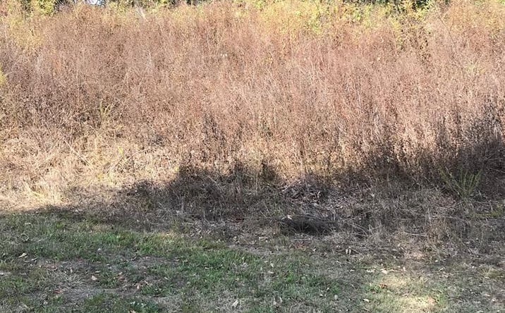 Pictures of Land, Multifamily property located at TBD Lot#12 Chestnutwood Drive, Chilhowie, VA 24319 for sales - image #1