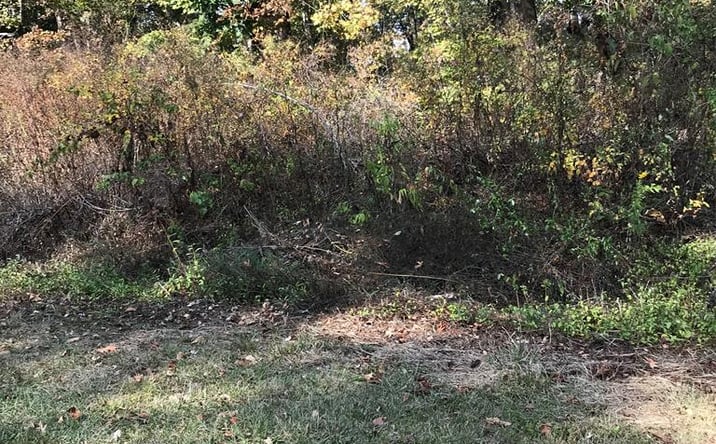 Pictures of Land, Multifamily property located at TBD Lot #11 Elem Drive, Chilhowie, VA 24319 for sales - image #1