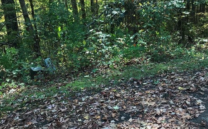 Pictures of Land, Multifamily property located at TBD Lot#6 Elem Drive, Chilhowie, VA 24319 for sales - image #1
