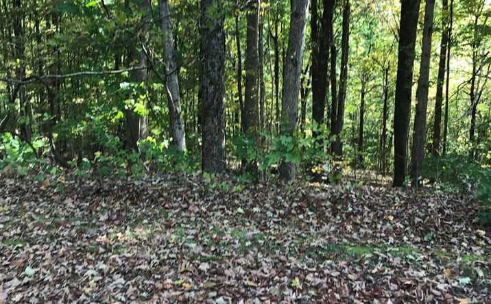 Pictures of Land, Multifamily property located at TBD Lot#5 Elem Drive, Chilhowie, VA 24319 for sales - image #1