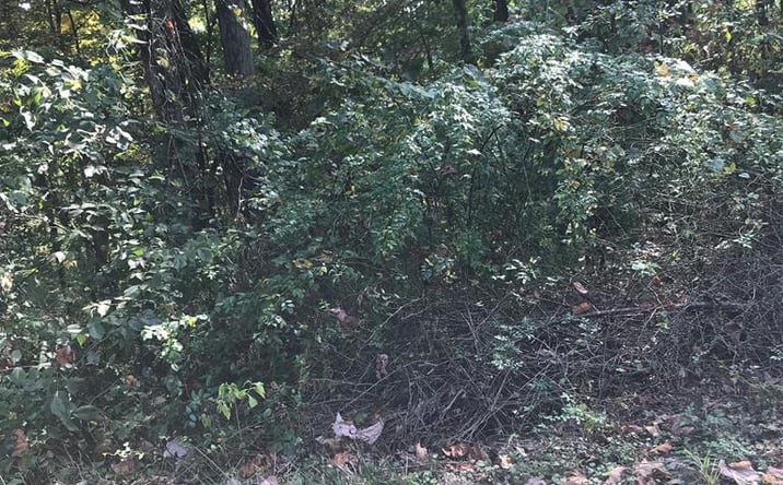 Pictures of Land, Multifamily property located at TBD Lot#4 Elem Drive, Chilhowie, VA 24319 for sales - image #1