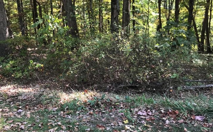 Pictures of Land, Multifamily property located at TBD Lot#3 Elem Drive, Chilhowie, VA 24319 for sales - image #1