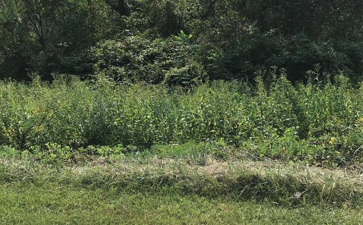 Pictures of Land, Multifamily property located at TBD Lot#42 Brooke Street, Chilhowie, VA 24319 for sales - image #1