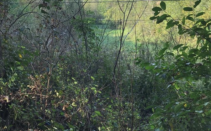 Pictures of Land, Multifamily property located at TBD Lot#47 Grinstead Hill Road, Chilhowie, VA 24319 for sales - image #1