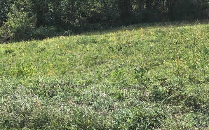 Pictures of Land, Multifamily property located at TBD Lot#40 Brooke Street, Chilhowie, VA 24319 for sales - image #1