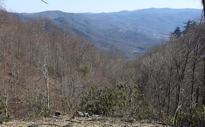 Pictures of Land, Multifamily property located at Lot # 23 Fishers Peak View, Ennice, NC 28623 for sales - image #1
