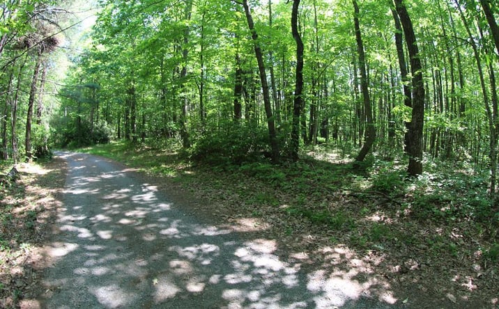 Pictures of Land, Multifamily property located at 0 Misty Acres, Meadows of Dan, VA 24120 for sales - image #1