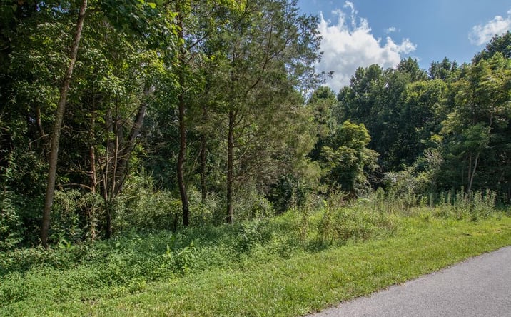 Pictures of Land, Multifamily property located at TBD Preston Place Drive, Abingdon, VA 24211 for sales - image #1