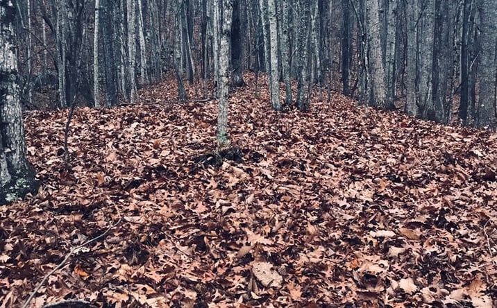Pictures of Land, Multifamily property located at TBD Allison Gap Road, Saltville, VA 24370 for sales - image #1