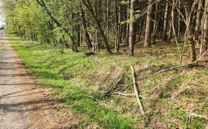 Pictures of Land, Multifamily property located at TBD Allis Chalmers Road, Rural Retreat, VA 24368 for sales - image #1