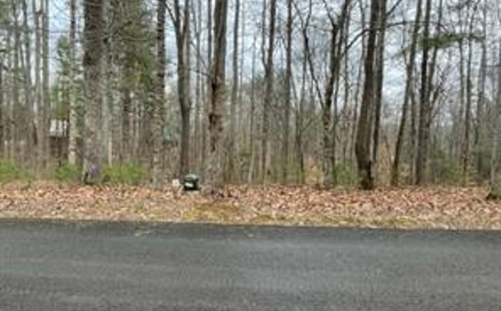 Pictures of Land, Multifamily property located at Lot 1 Reserve Trail, Stuart, VA 24171 for sales - image #1