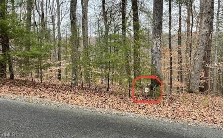 Pictures of Land, Multifamily property located at Lot 6 Woods Haven Lane, Stuart, VA 24171 for sales - image #1