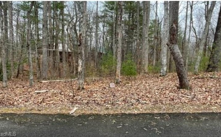 Pictures of Land, Multifamily property located at Lot 33 Woods Haven Lane, Stuart, VA 24171 for sales - image #1