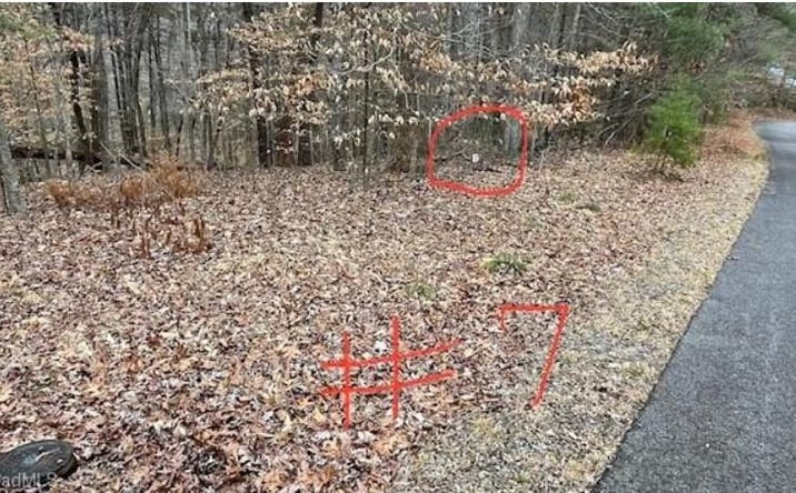 Pictures of Land, Multifamily property located at Lot 7 Woods Haven Lane, Stuart, VA 24171 for sales - image #1