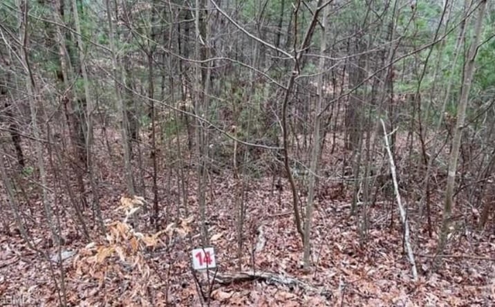 Pictures of Land, Multifamily property located at Lot 14 Woods Haven Lane, Stuart, NC 27141 for sales - image #1