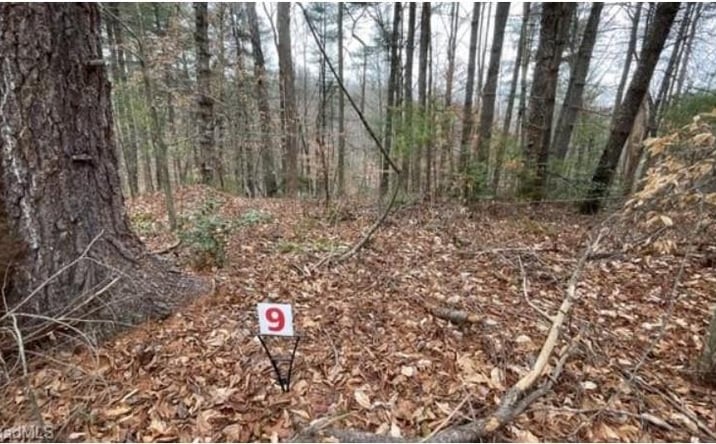 Pictures of Land, Multifamily property located at Lot 9 Woods Haven Lane, Stuart, VA 24171 for sales - image #1