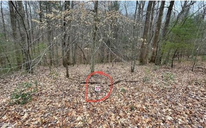 Pictures of Land, Multifamily property located at Lot 17 Woods Haven Lane, Stuart, VA 24171 for sales - image #1