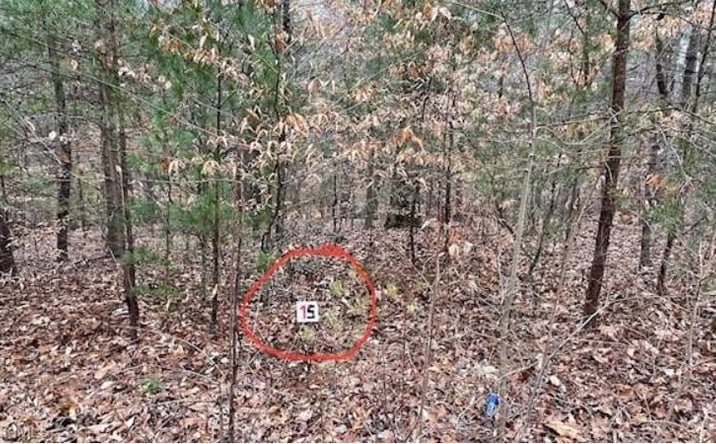 Pictures of Land, Multifamily property located at Lot 15 Woods Haven Lane, Stuart, VA 24171 for sales - image #1