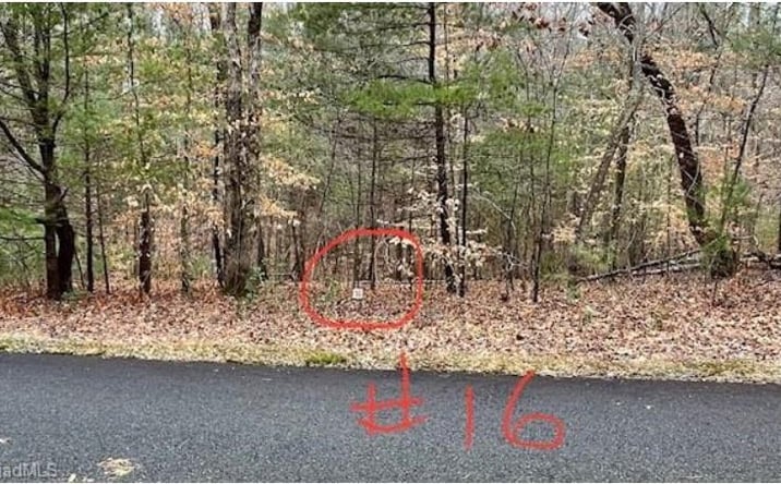 Pictures of Land, Multifamily property located at Lot 16 Woods Haven Lane, Stuart, VA 24171 for sales - image #1