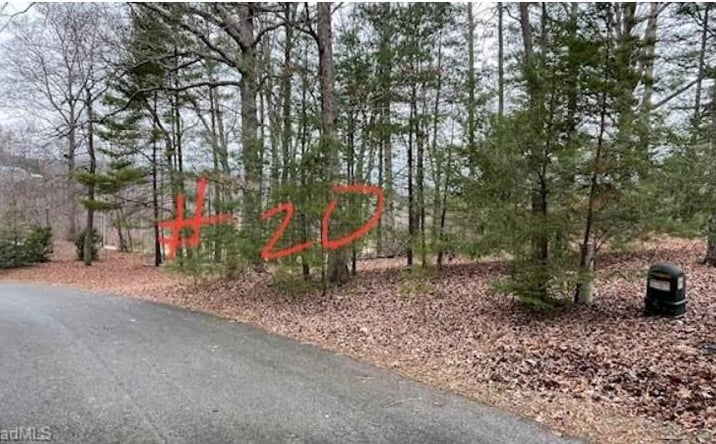 Pictures of Land, Multifamily property located at Lot 20 Woods Haven Lane, Stuart, VA 24171 for sales - image #1