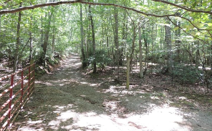 Pictures of Land, Multifamily property located at TBD Peach Bottom Road, Independence, VA 24348 for sales - image #1