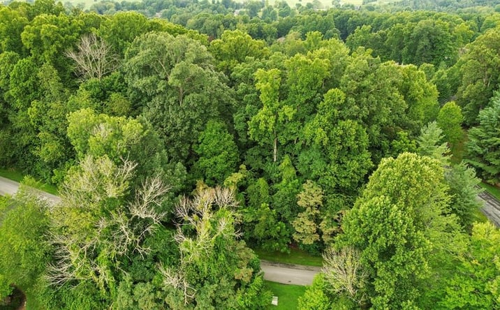 Pictures of Land, Multifamily property located at TBD Stonewall Ridge Lot #23, Bristol, VA 24202 for sales - image #1