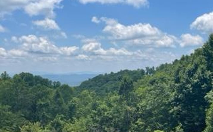 Pictures of Land, Multifamily property located at 362 Hunter's Path, Fancy Gap, VA 24328 for sales - image #1