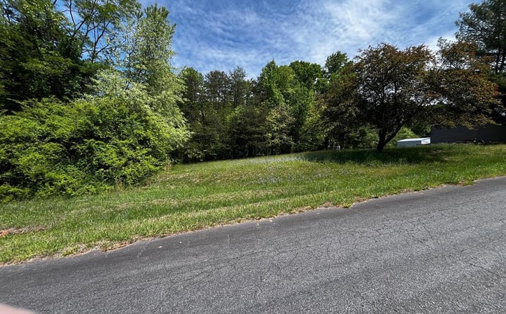 Pictures of Land, Multifamily property located at Virgilina Circle, Cana, VA 24317 for sales - image #1