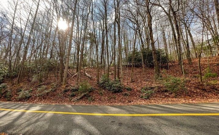 Pictures of Land, Multifamily property located at Lot 45 Southern View Trail, Fancy Gap, VA 24328 for sales - image #1