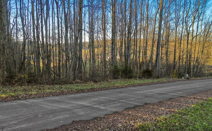 Pictures of Land property located at 0 Village Loop, Abingdon, VA 24210 for sales - image #1