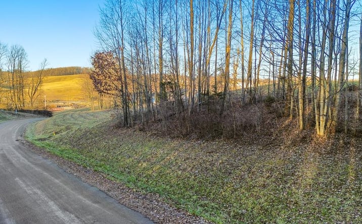 Pictures of Land property located at 0 Village Loop, Abingdon, VA 24210 for sales - image #1