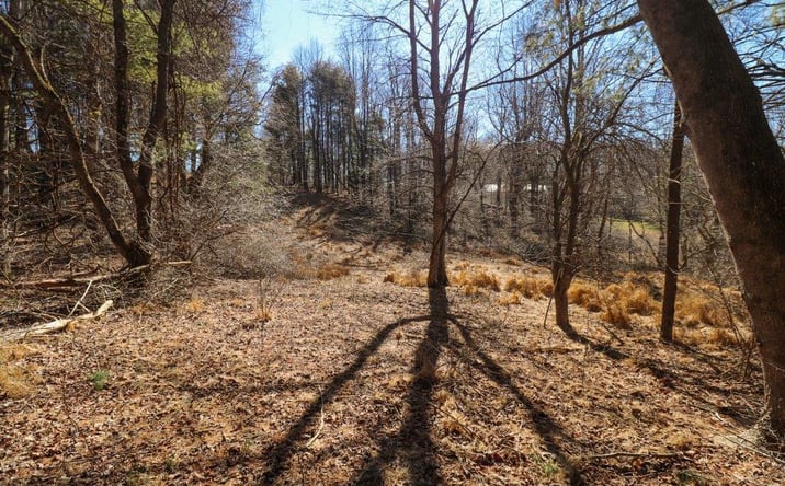 Pictures of Land property located at Lot 65 Southern View Trail, Fancy Gap, VA 24328 for sales - image #1