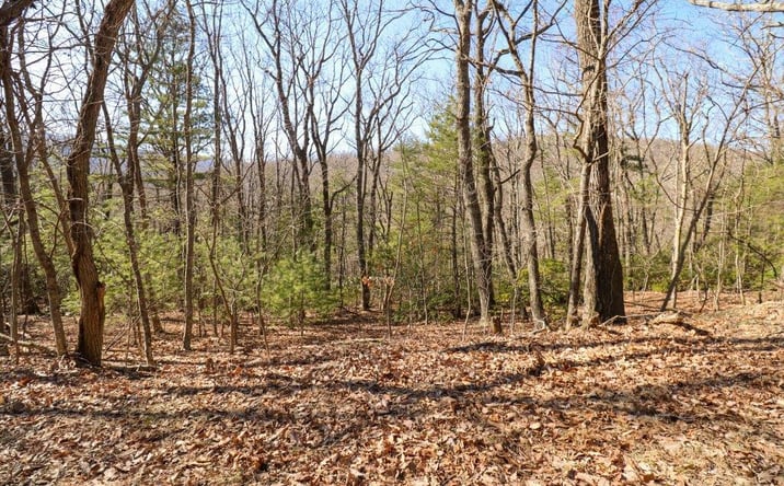 Pictures of Land, Multifamily property located at C11-C12 Little Ridge Trail, Fancy Gap, VA 24328 for sales - image #1