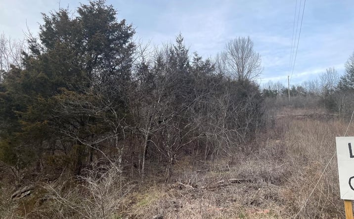 Pictures of Land, Multifamily property located at TBD Martin Farm Rd, Cedar Bluff, VA 24609 for sales - image #1