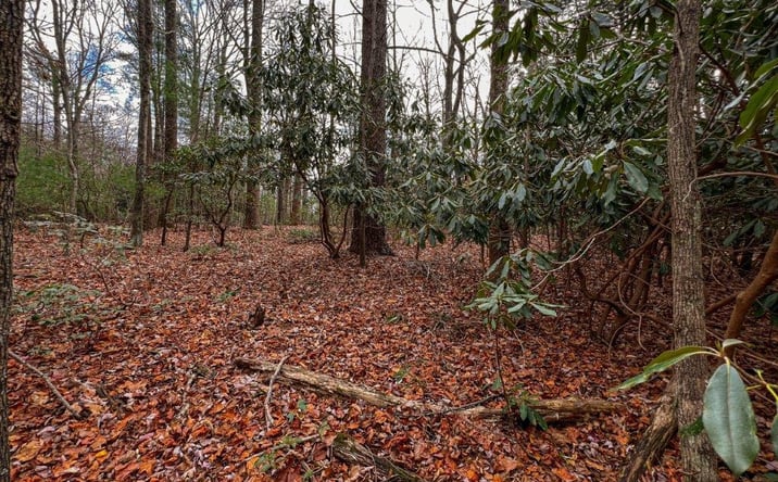 Pictures of Land, Multifamily property located at 00 Stillhouse Tr, Fancy Gap, VA 24328 for sales - image #1