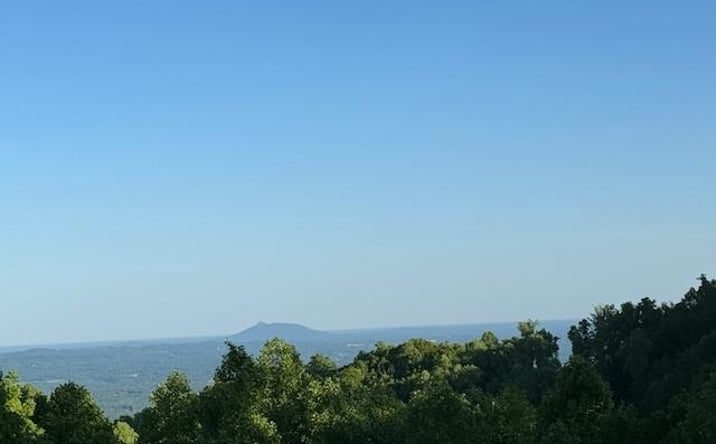 Pictures of Land, Multifamily property located at 100 Cabin Ridge Trail, Fancy Gap, VA 24328 for sales - image #1