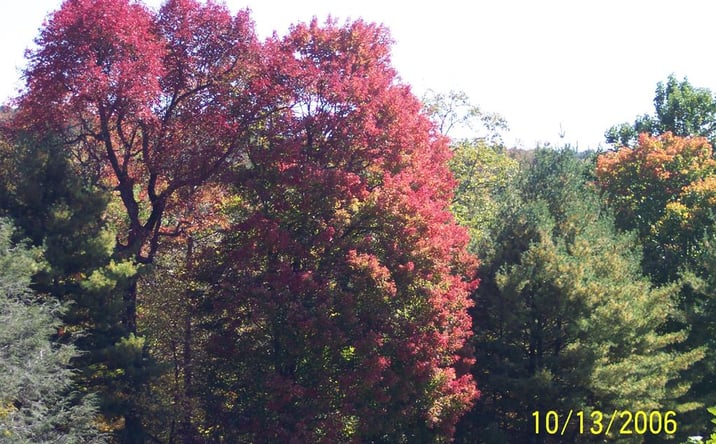 Pictures of Land, Multifamily property located at TBD Continental Drive, Hillsville, VA 24343 for sales - image #1
